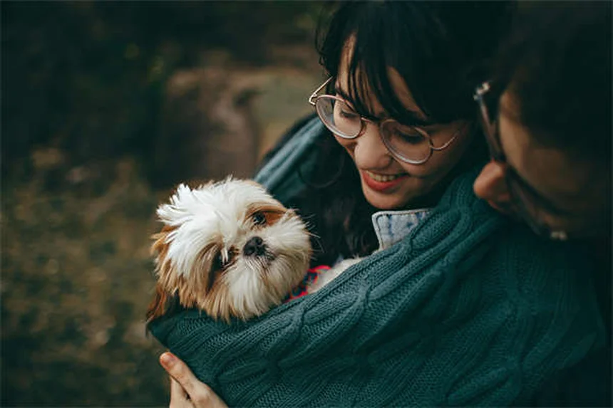 5 Safest Flea Treatments for Dogs (Vet-Approved Options)